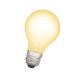 bulb